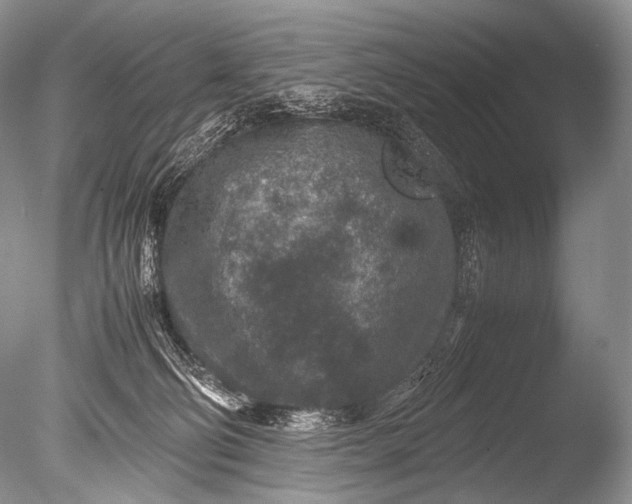 X0000085730130200703301412