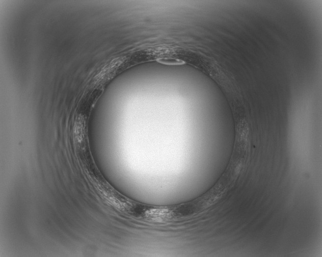 X0000085730133200703301412