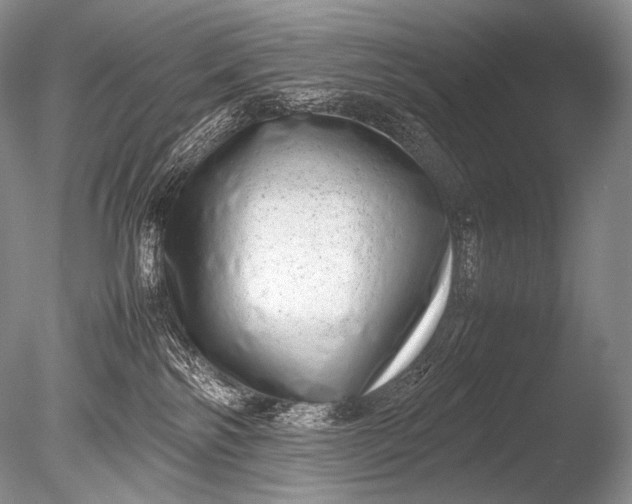 X0000085730138200703301411