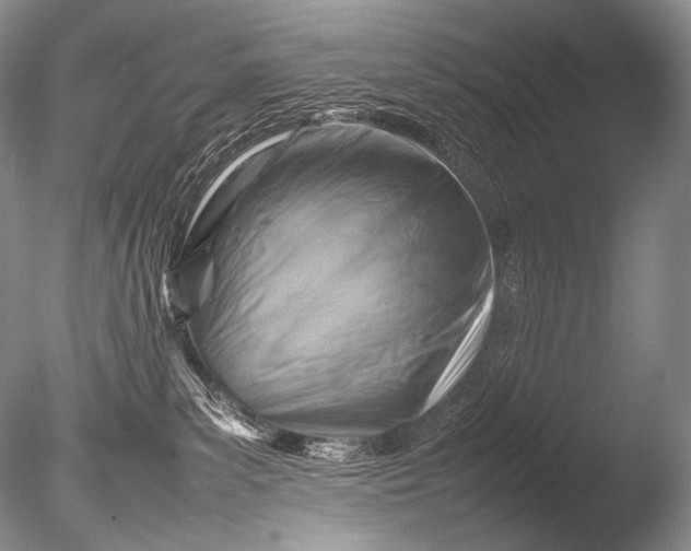 X0000085730139200703301411