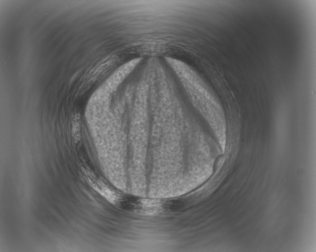 X0000085730144200703301411