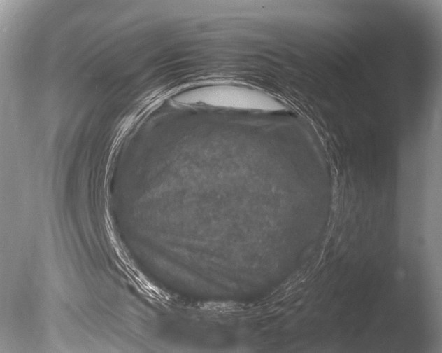 X0000085730145200703301410