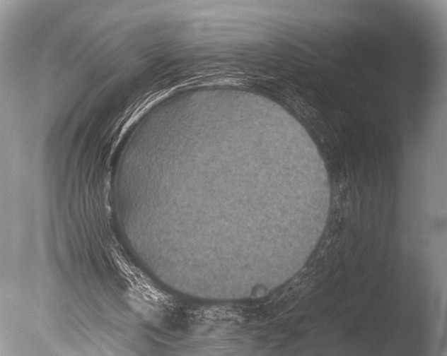 X0000085730146200703301411