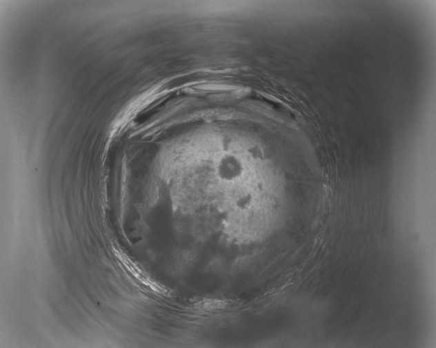 X0000085730149200703301411