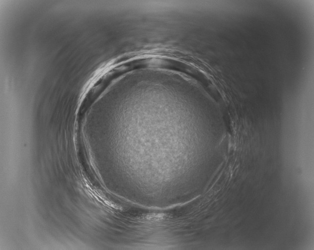 X0000085730152200703301411