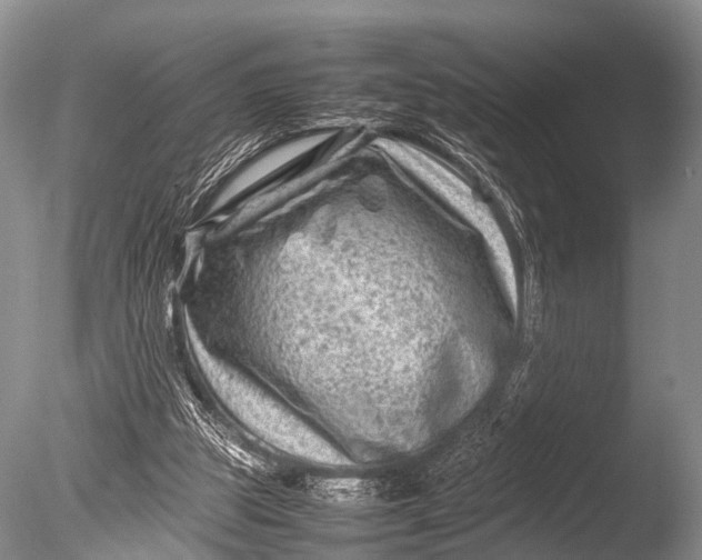 X0000085730153200703301411