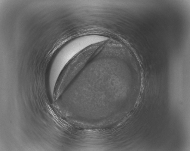 X0000085730154200703301411