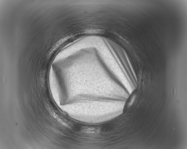 X0000085730155200703301411