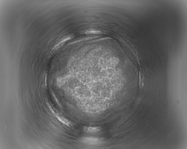 X0000085730157200703301411