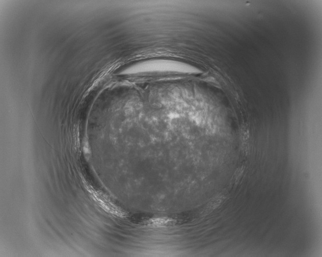 X0000085730158200703301411