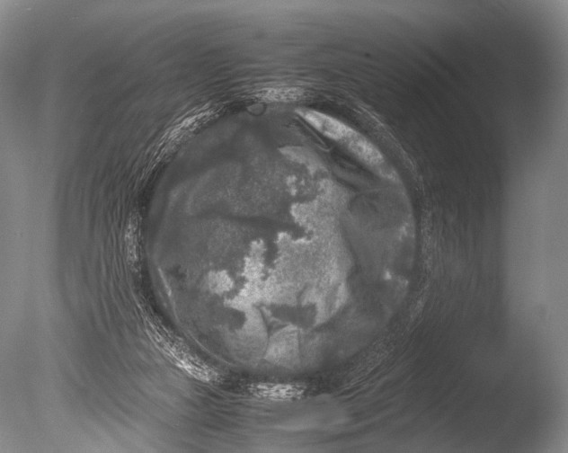 X0000085730161200703301411