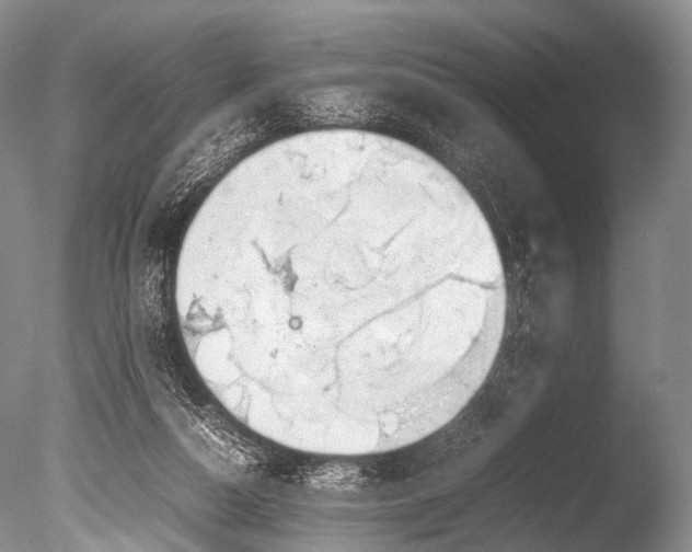 X0000085730162200703301411