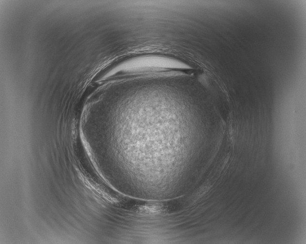 X0000085730164200703301411