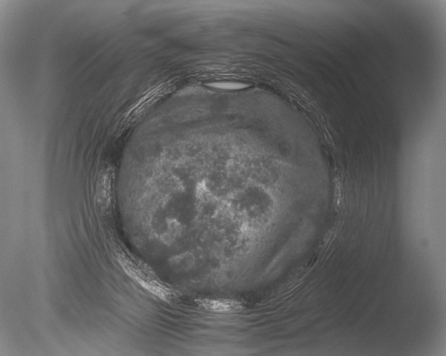 X0000085730165200703301411