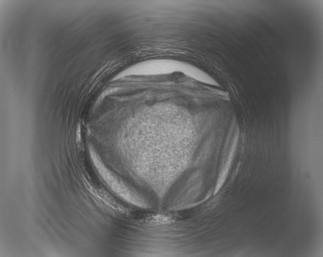 X0000085730166200703301411