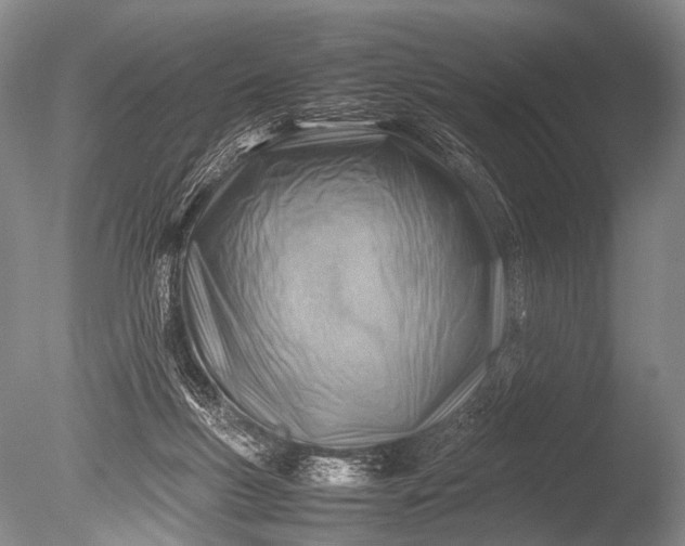 X0000085730167200703301411