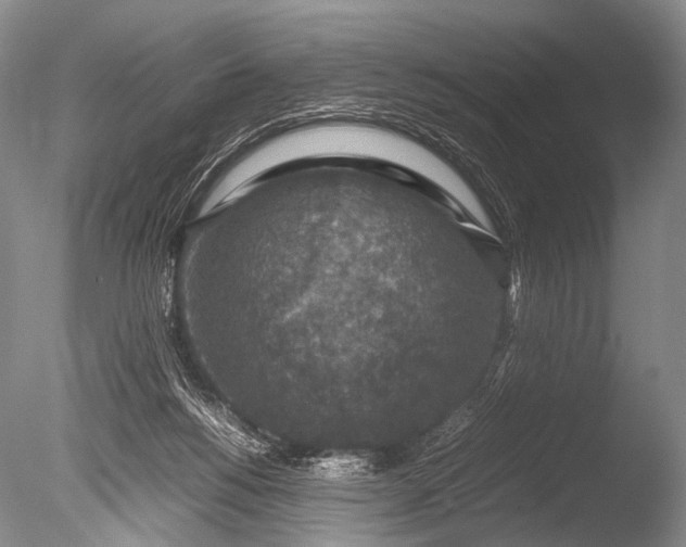 X0000085730168200703301411