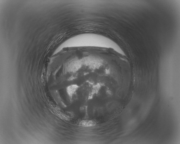 X0000085730169200703301411