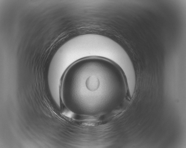 X0000085730170200703301411