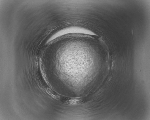 X0000085730172200703301411