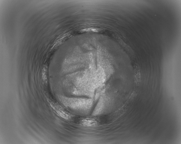 X0000085730175200703301411