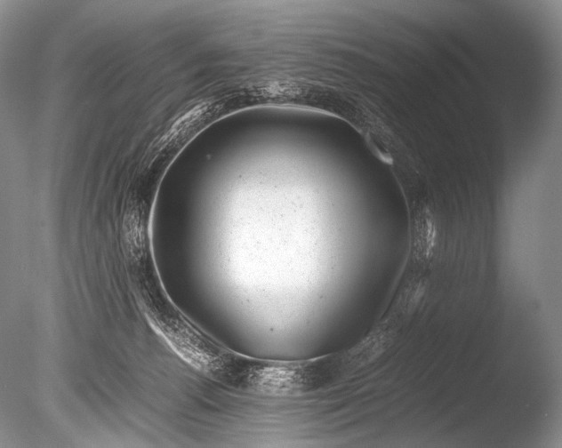 X0000085730176200703301411