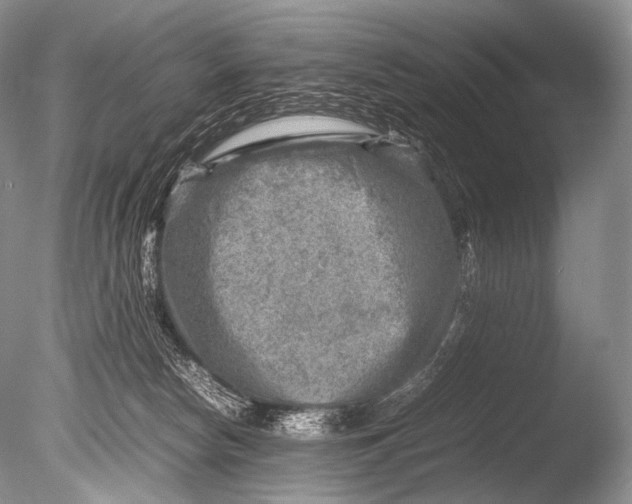 X0000085730178200703301411