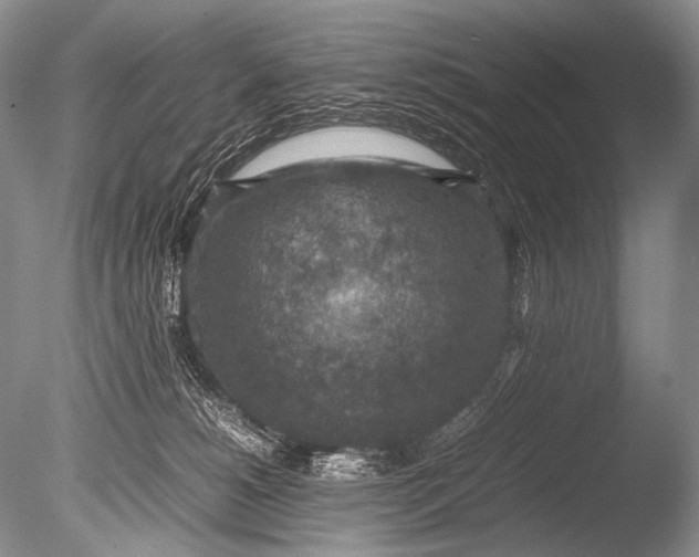 X0000085730180200703301411