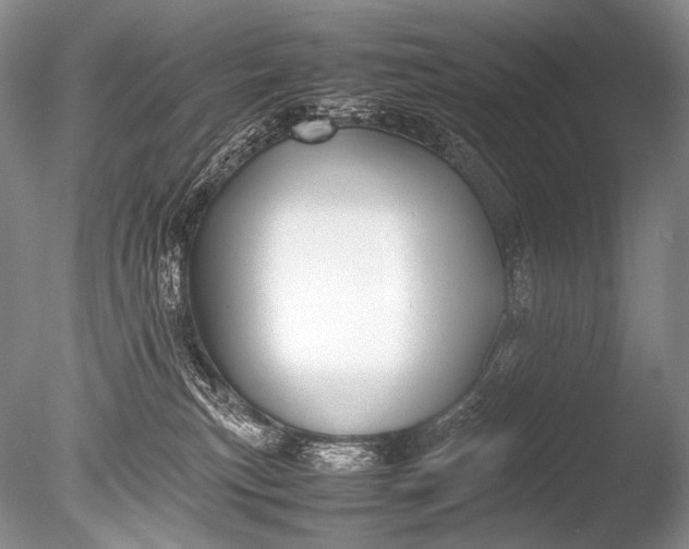 X0000085730183200703301411