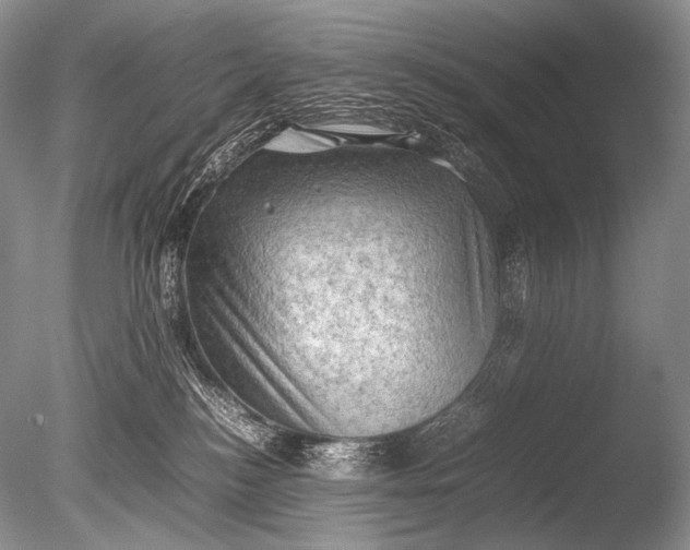 X0000085730184200703301411