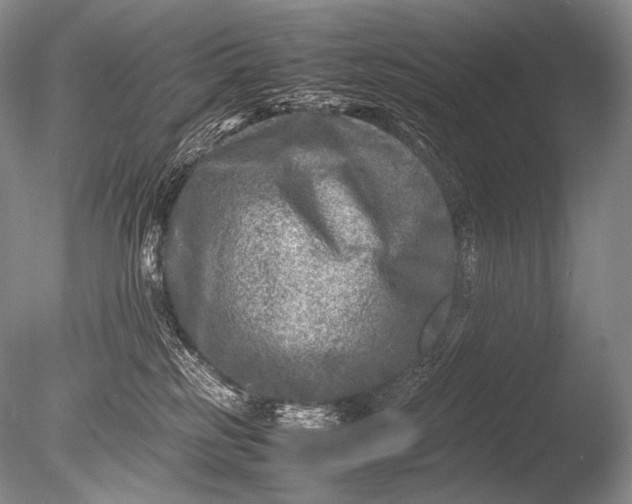 X0000085730185200703301411