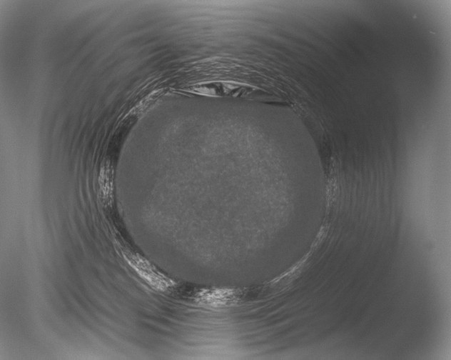 X0000085730186200703301411