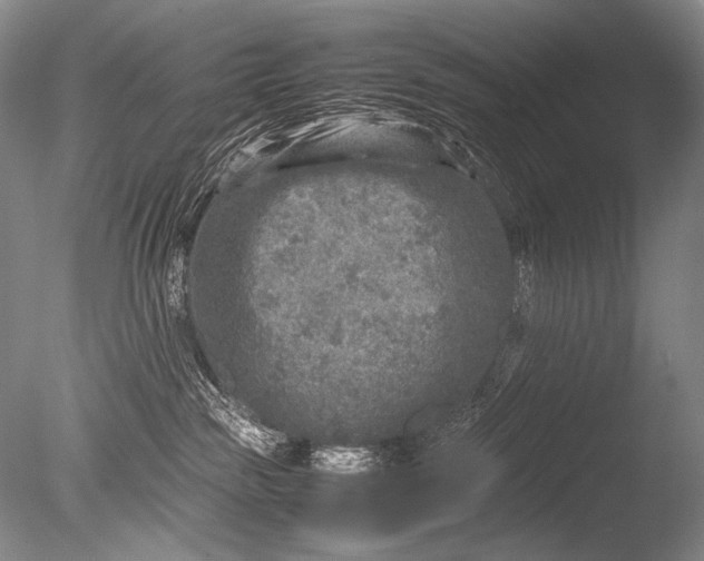 X0000085730189200703301411