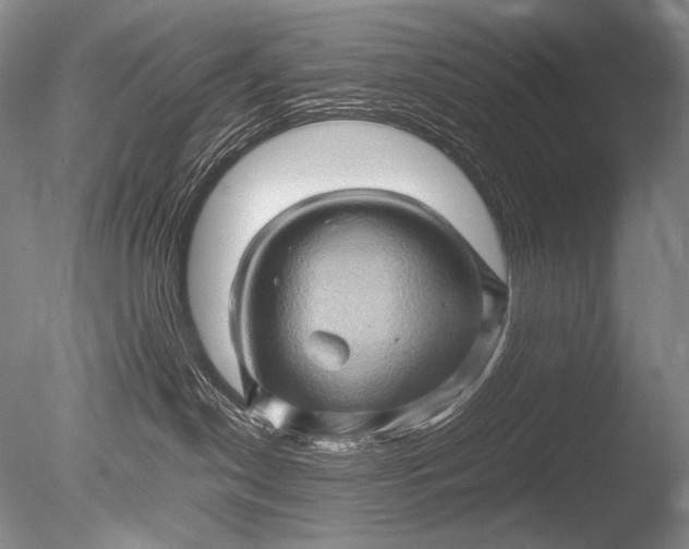 X0000085730190200703301411