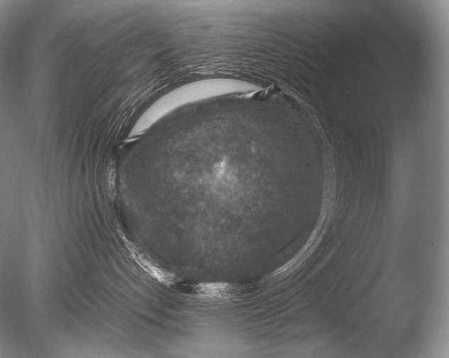 X0000085730192200703301411