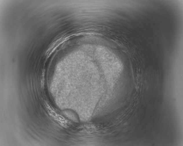 X0000085730194200703301410