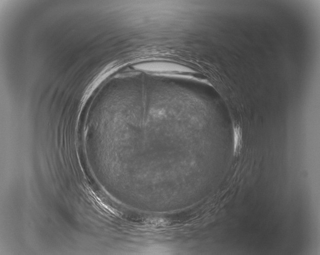 X0000085730195200703301410