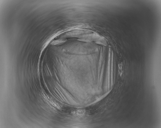 X0000085730196200703301410