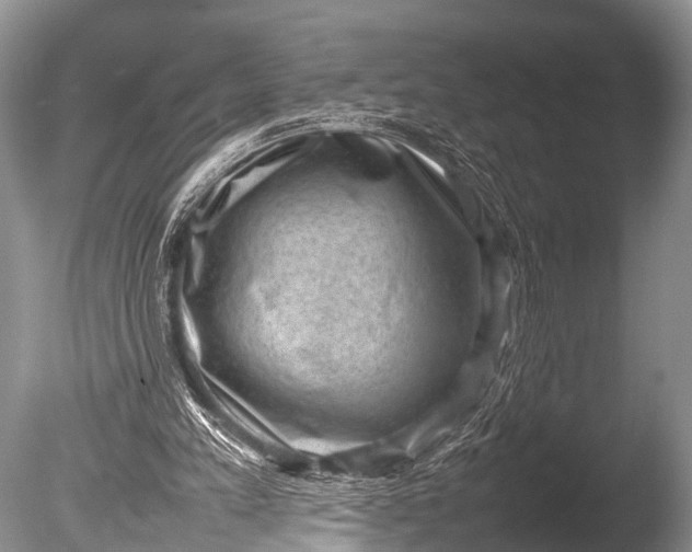 X0000085730197200703301410