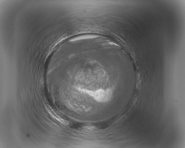 X0000085730203200703301410