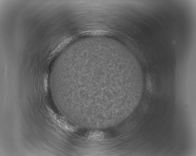 X0000085730206200703301410