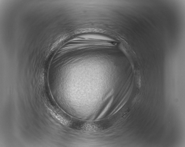 X0000085730207200703301410