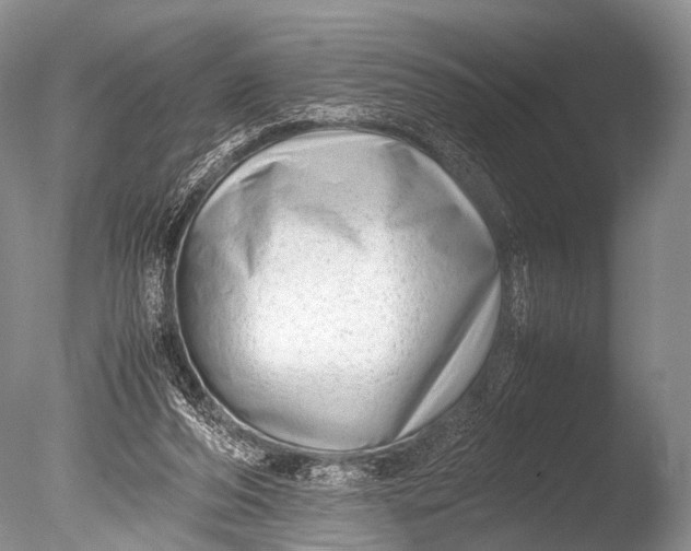 X0000085730208200703301410