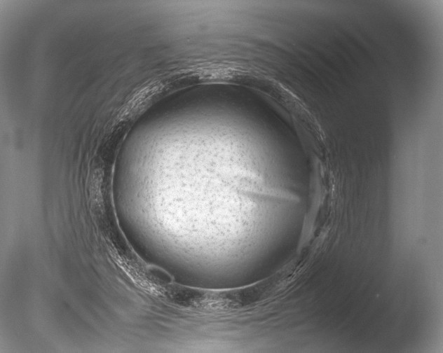 X0000085730209200703301410