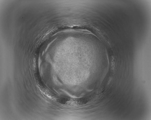 X0000085730211200703301410