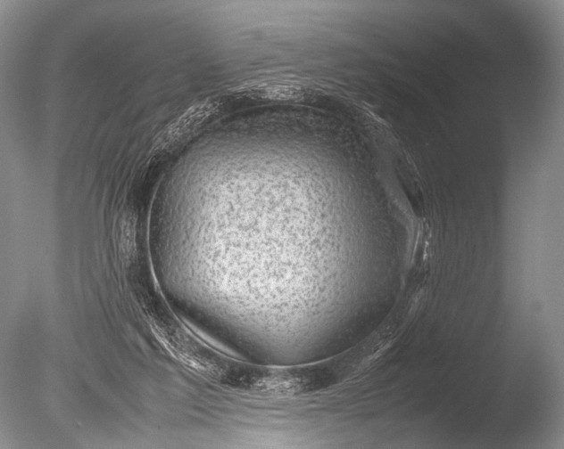 X0000085730213200703301410