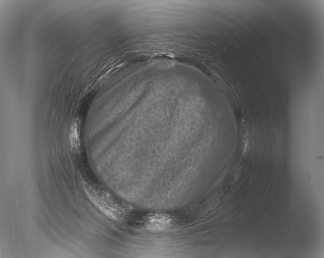 X0000085730214200703301410