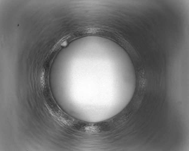 X0000085730216200703301410