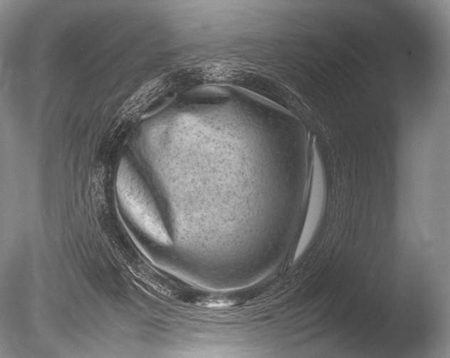 X0000085730217200703301410