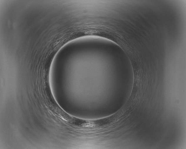 X0000085730219200703301410